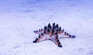 易楠闲话：余生很长，请多爱一点！