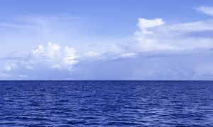 嫁给爱情的八字，奈何遇到大男子主义先生，求测？