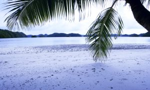 家宅风水：注意！家里千万不要有这些东西，越多越穷