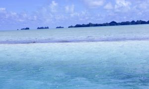 八字命犯桃花，挡也挡不住地桃花运，求测？