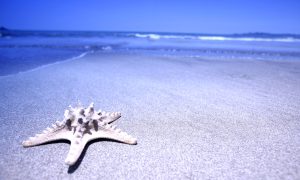 易楠闲话：一纸定终生的选拔人才。