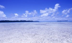 家宅风水：不适合放在卫生间的东西都有哪些