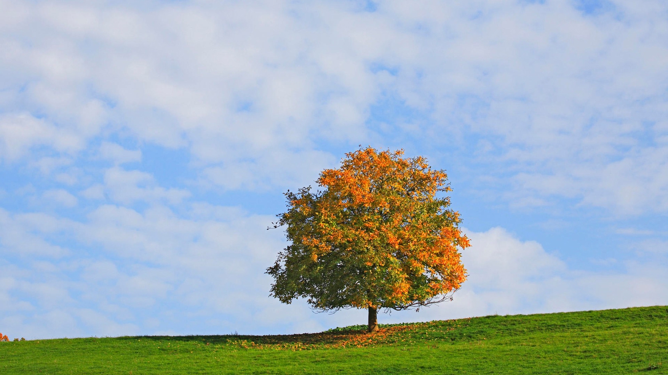 八字怎么看老公的性格