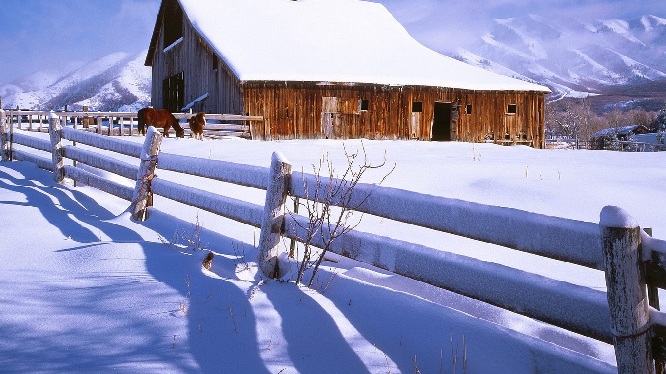 什么样的八字天生胆小怕事
