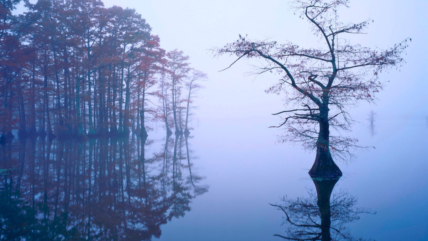 外出发展异地求财的八字