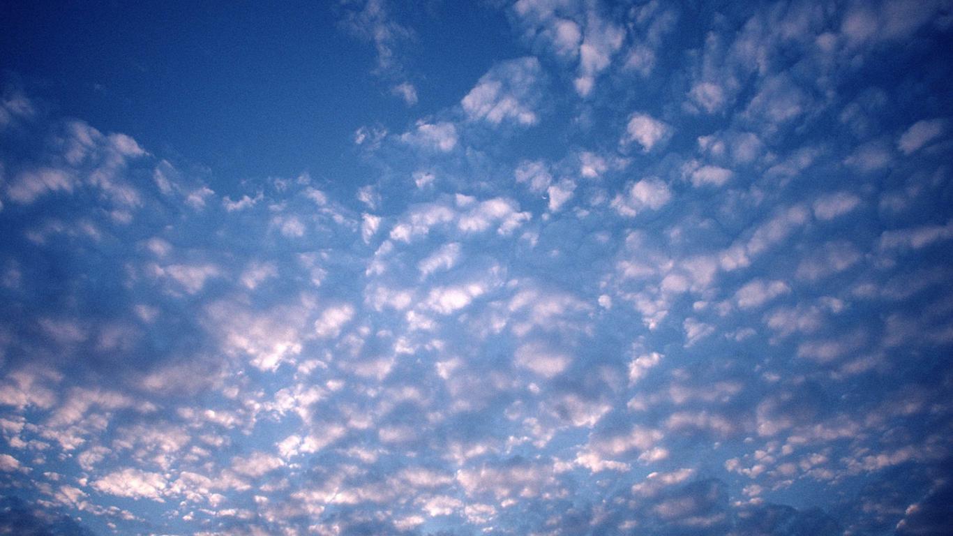 家宅风水：不适合放在卫生间的物品都有哪些?