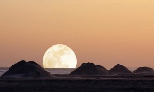 个人中心页面插图3