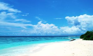 家宅风水：采光不好的房子，住久了会怎么样？如何化解？