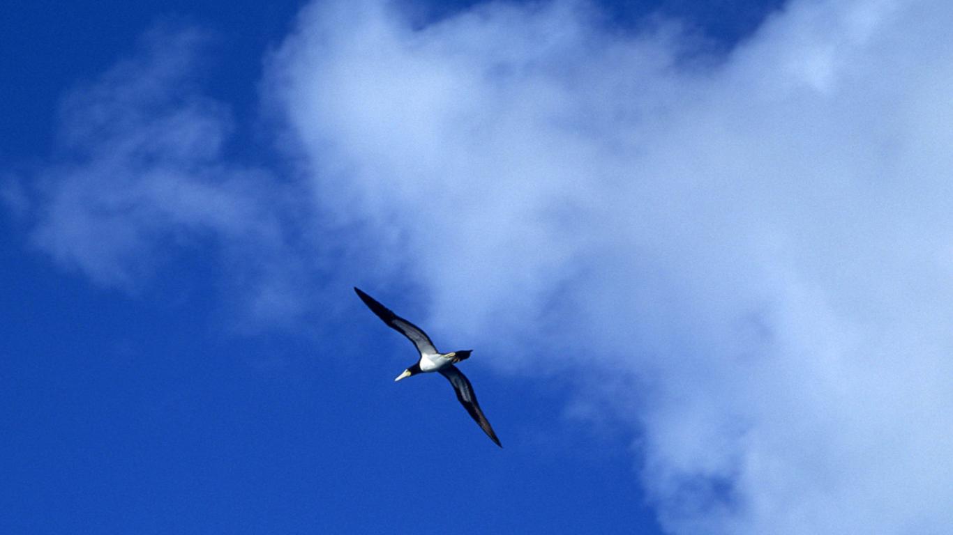 什么样的八字是有福气之人