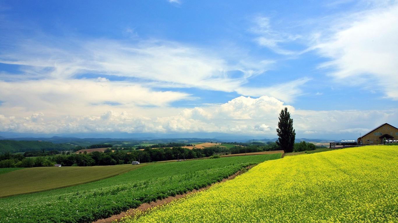 相亲失败后酗酒摔伤进了医院，怎么会那么倒霉？