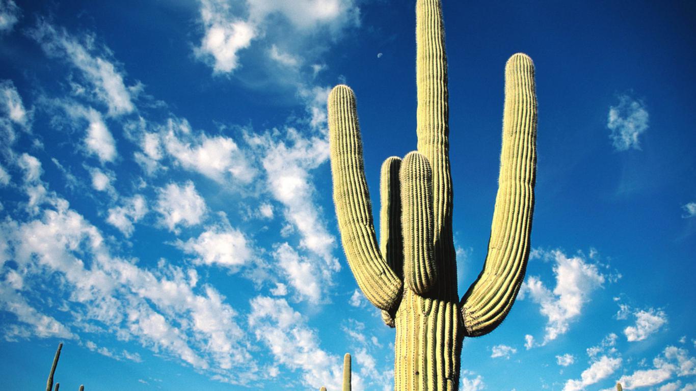 家宅风水：风水不好穷三代！