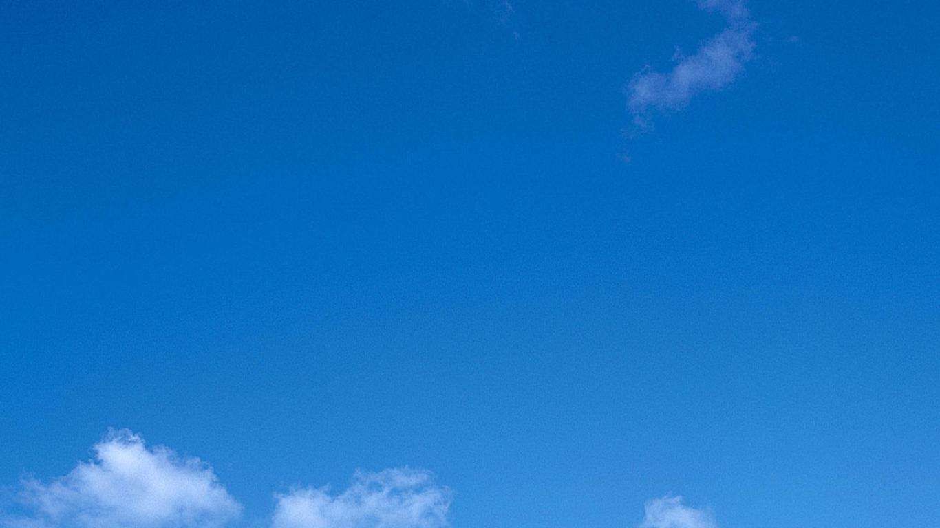 家宅风水：网传植物招财的方法，不可全信！