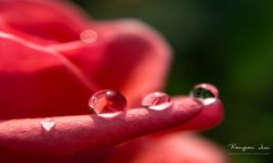 人情中的识人之术，一句话点到为止