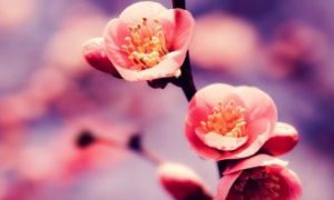 步入社会后，要听懂哪些“话中话”？