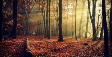 家宅风水：易出赌徒的风水