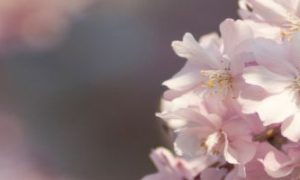 易楠闲话：你不愿面对的“孩子教育问题”