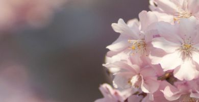 易楠闲话：你不愿面对的“孩子教育问题”