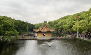 穷人的四次翻身机会