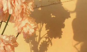 混社会，哪些“规矩”必须懂？