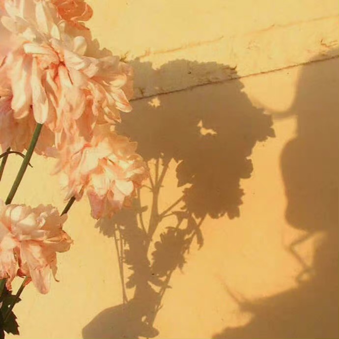 混社会，哪些“规矩”必须懂？