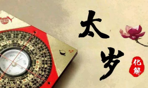 【2020年化太岁】生肖属鼠、兔、马、羊、鸡必看！