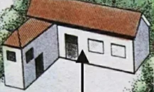 “青龙妒主”大凶相，“苍龙无足”亦大凶!